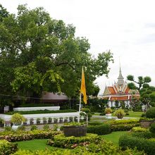 御堂の周辺は緑が多いです