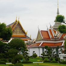 緑の中に浮かんでいる感じです