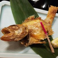 のどぐろ、バンザイ