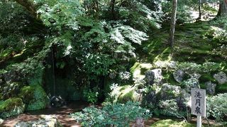 落差も水量も小さな滝