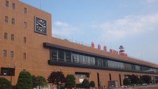 大きすぎて少し迷う