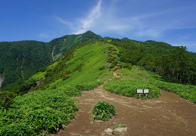 辺りは天空の楽園といった感じです