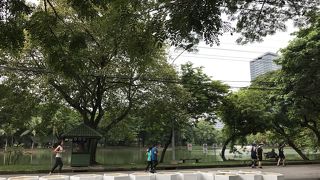 緑豊かな広い公園