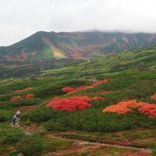 20170916AM7　第1展望台から第2第3展望台方向を