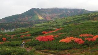 紅葉時期の服装