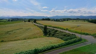 展望台があります