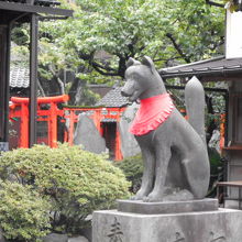 狐の表情も珍しい感じ