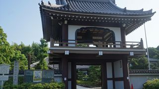 チリ一つ落ちていないといった清潔さです