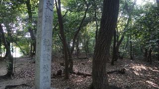 「史蹟鷲津砦址」と書いた石柱の碑