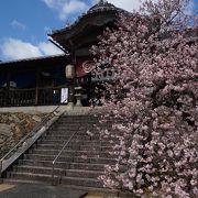 石造涅槃仏がお出迎え