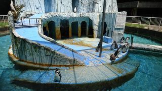 無料で見学できる動物園!!