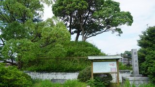 徳川家康の母於大の方生誕の城でもあるはずなんですが