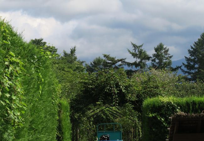 シミック八ヶ岳薬用植物園