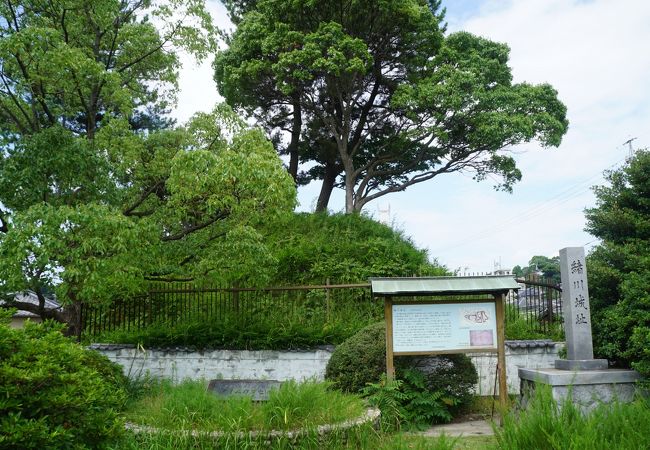 徳川家康の母於大の方生誕の城でもあるはずなんですが