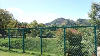 静かな公園でした