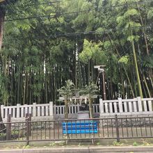不思議な空間です By おだまき 不知八幡森 八幡の藪知らず のクチコミ フォートラベル 不思議な空間です By おだまき 不知八幡森 八幡の藪知らず のクチコミ フォートラベル