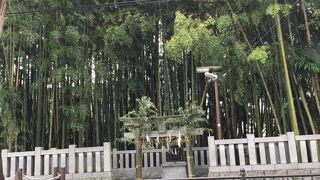 不思議な空間です