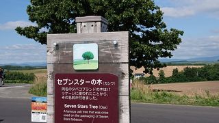 一本のかしわの木