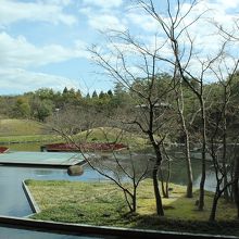 レストランからの眺望