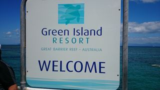 ウミガメに会えました