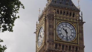 夜も見てみたい。