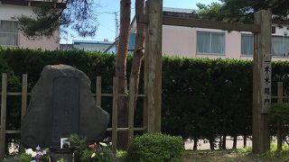 いっぱいの花が飾られていました！