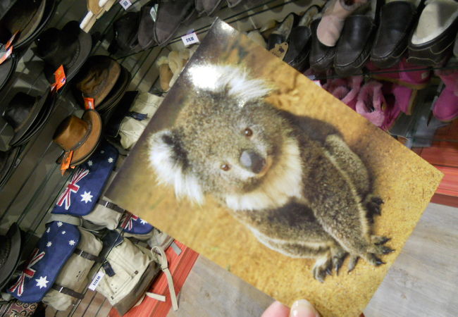 スーベニア ショッパーズ