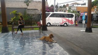 ウブドへの利用はアリ