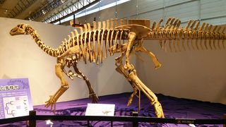 恐竜博