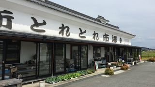 別所とれとれ市場