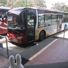 17番のバスがオランダ広場へ行きます。