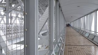 遊歩道片道450ｍ。歩きやすい靴で、渦潮ベストタイムにどうぞ