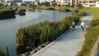 夕暮れ時は遊歩道がなかなかいい雰囲気でした