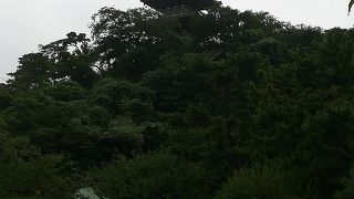 近くで見られなかったのが残念です