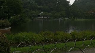 美しさに心惹かれます