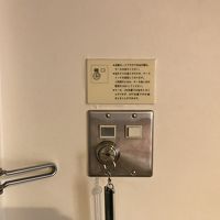 このタイプは初めてでちょっと新鮮