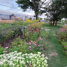 花いっぱいの駅前