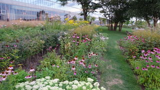 駅ちかの素敵なガーデン（あさひかわ北彩都ガーデン）