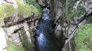 結果的に来て正解でした