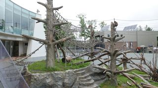 憩いの場所です