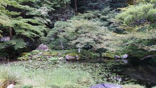 紅葉の時期にも来てみたいです