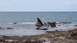 ゴジラというよりミニラ