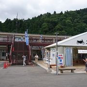 ミニ水族館があります