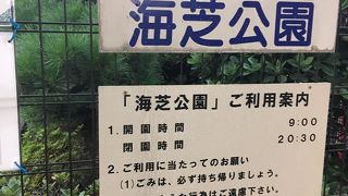 電車の時間を気にしながら