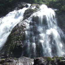 下から見上げる大川の滝