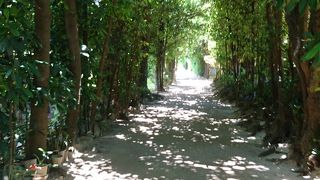 ちょっと歩き過ぎたかな？