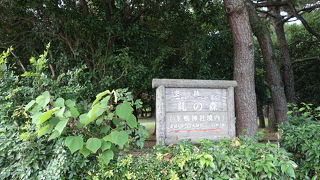 緑多い景色です