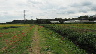 秋の散策がおすすめです