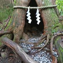 JR東日本のCMで吉永小百合さんが出てきた杉のムロ