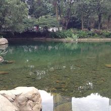 そこには池があり、